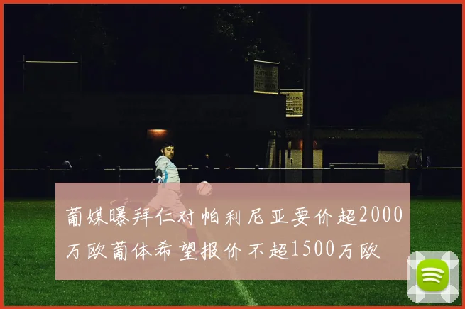葡媒曝拜仁对帕利尼亚要价超2000万欧葡体希望报价不超1500万欧